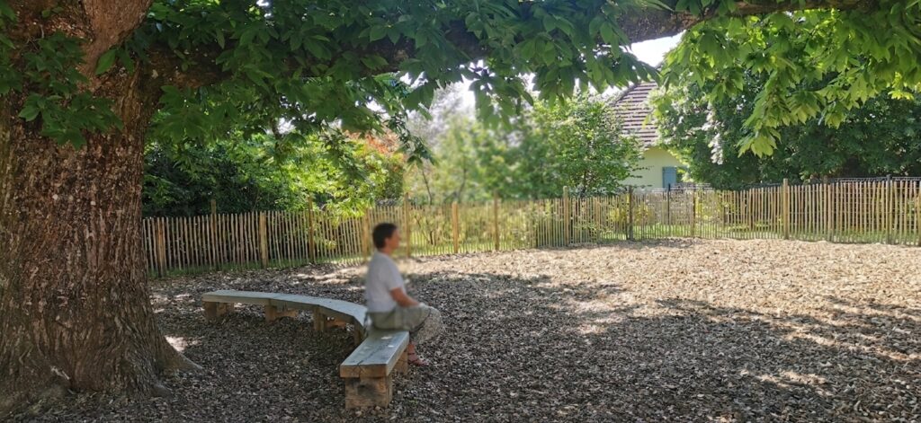 Mise en valeur d'un châtaignier  par pose d'un banc rustique et  sol en copeaux