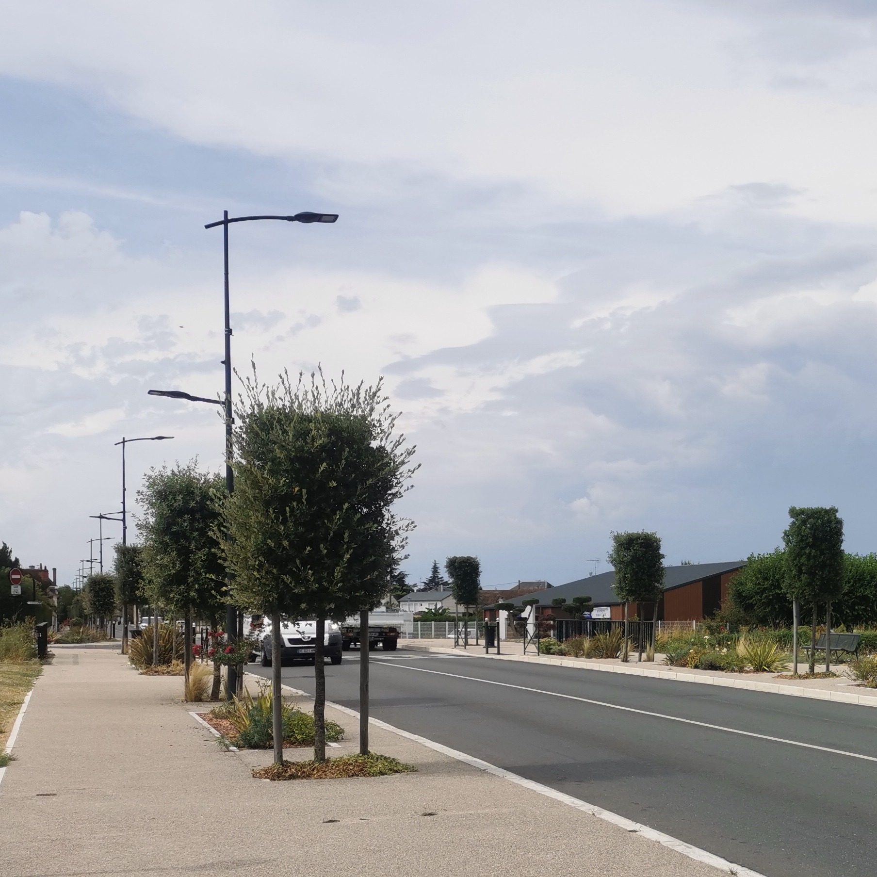 L’Ombre et la Matière : Quand le décoratif cède la place à la résilience